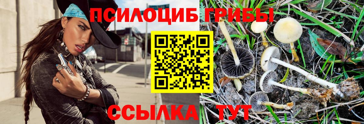 купить наркотик  Вход с VPN  Чистополь  Галлюциногенные грибы Magic Shrooms 