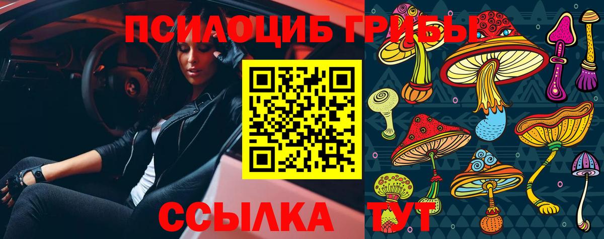 Галлюциногенные грибы Magic Shrooms Чистополь